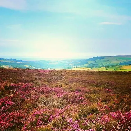 Millstone - Yorkshire Coast Holiday Lets * ويتبي